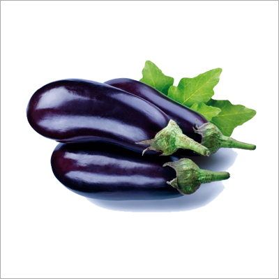 Farm Fresh Brinjal