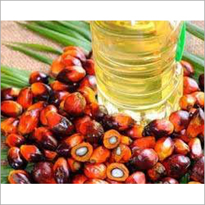 Palm Oil