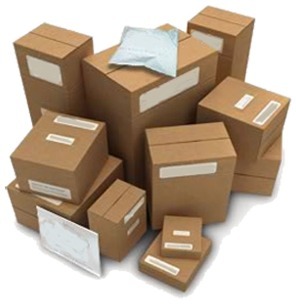 International Air Cargo Services
