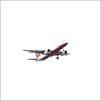 Import Clearance Services