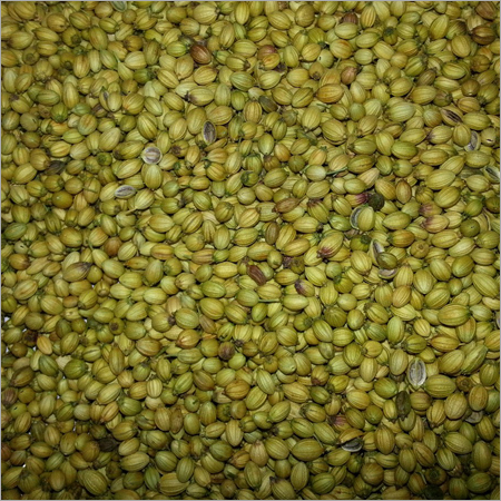 Coriander Seeds