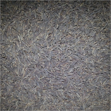 Cumin Seeds