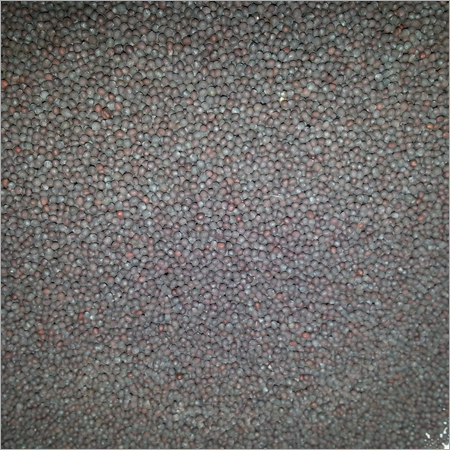 Mustard Seeds