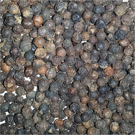 Black Pepper Seeds