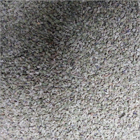 Celery Seeds