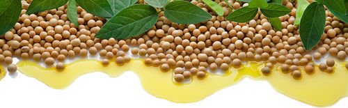 Refined Soyabean Oil