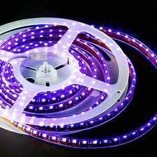 LED Lights