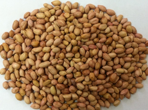Java Groundnut Kernels