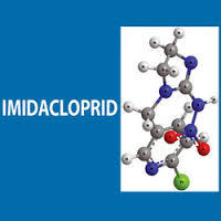 imidacloprid