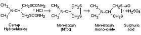 Cartap Hydrochloride