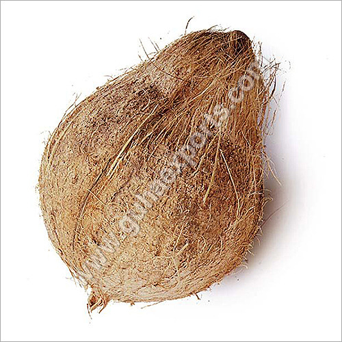 Semi Husked Coconut