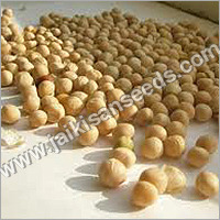Organic Soybean Seeds