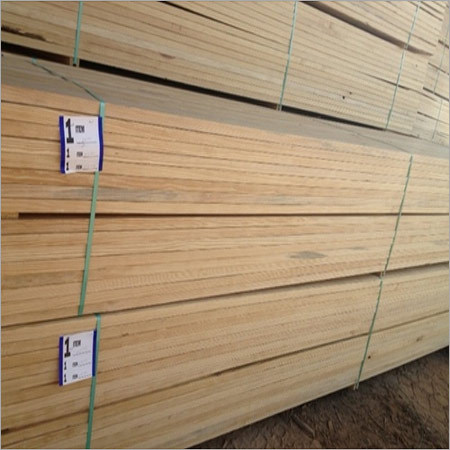 Timber Woods
