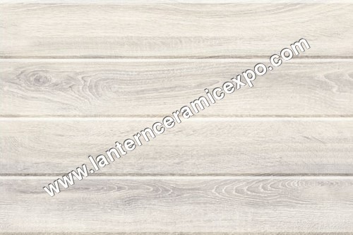 Digital Outside Wall Tiles