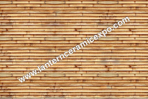 Elevation Wall Tiles
