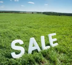 Property Selling Assistance