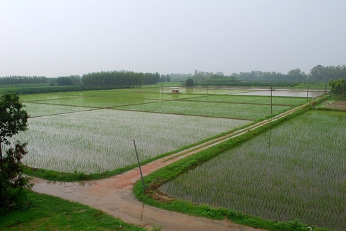 Partition of Property By NRI FAITHFUL