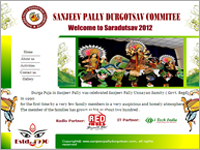 Flash Web Development