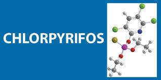 chlorpyrifos
