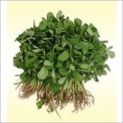 Nagori Methi