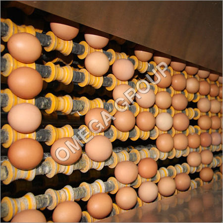 Egg Collection