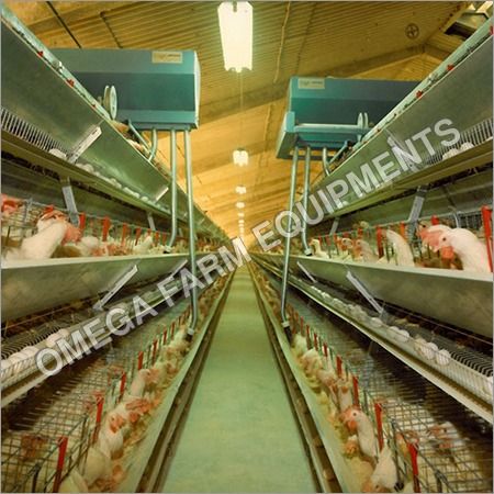 Semi Automatic Poultry Cage