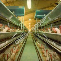 Semi Automatic Poultry Cage