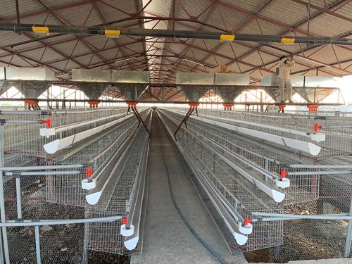 California Layer Poultry Cages Size: 15*20