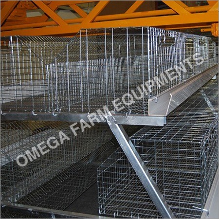 Semi Automatic Poultry Cages