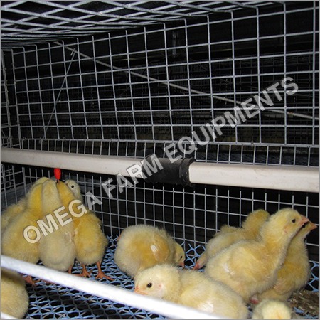 2 Tier Broiler Breeder Chick Cages