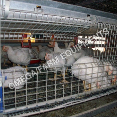 Broiler Chick Rearing Cage