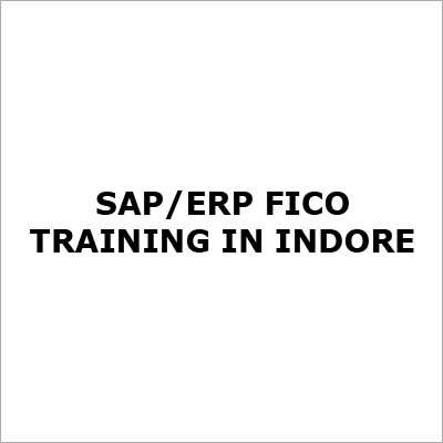 SAP-ERP FICO Training Services