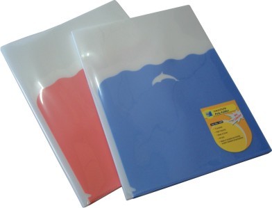 Neostyle Poly Folder 10 Pockets A4