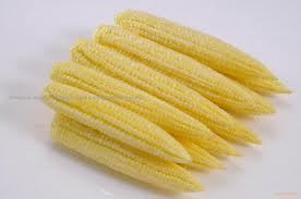 Baby Corn