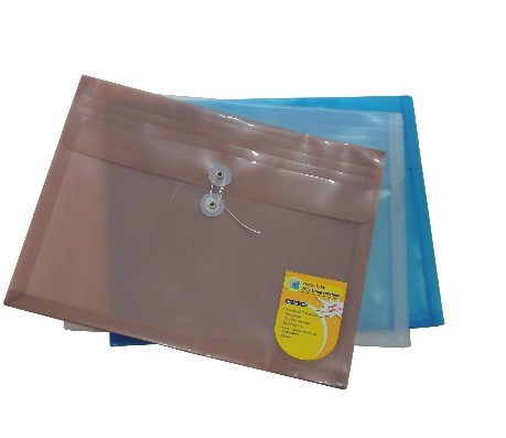Neostyle Poly String Envelope, Landscape, 1" Gusset