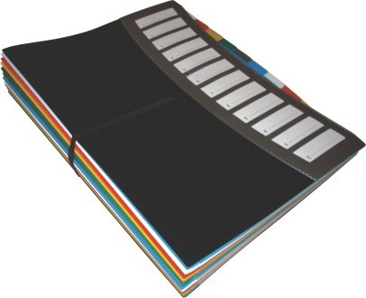 Neostyle Multi tab Index File 12 Sections A4