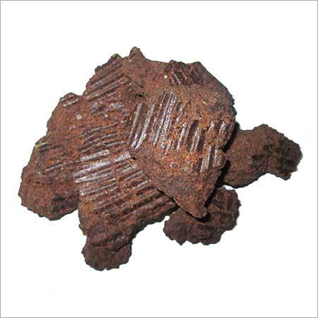 Fresh Moova Cake