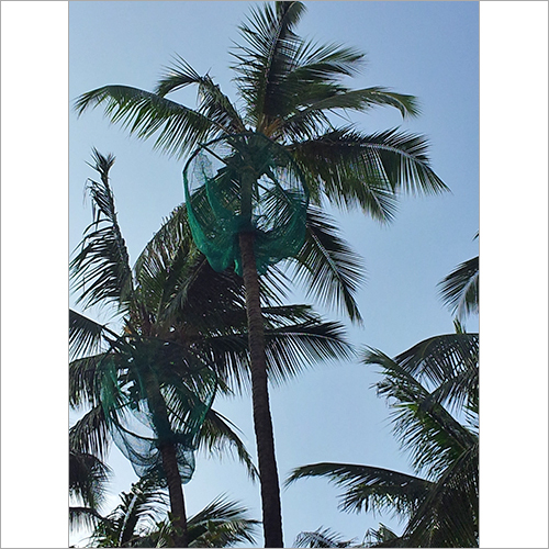 Coconut Safety Nets