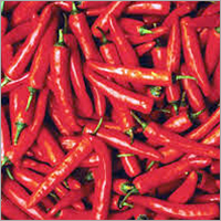 Fresh Red Chillies