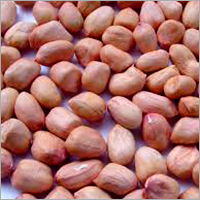 Indian Groundnut Kernels