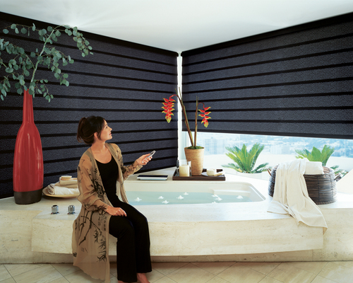 Black Designer Fabric Blinds