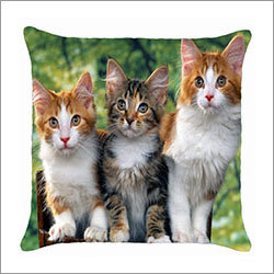 Printed Cushion Covers