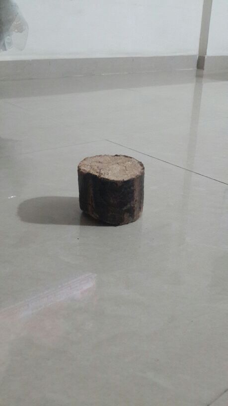 white coal (briquet)