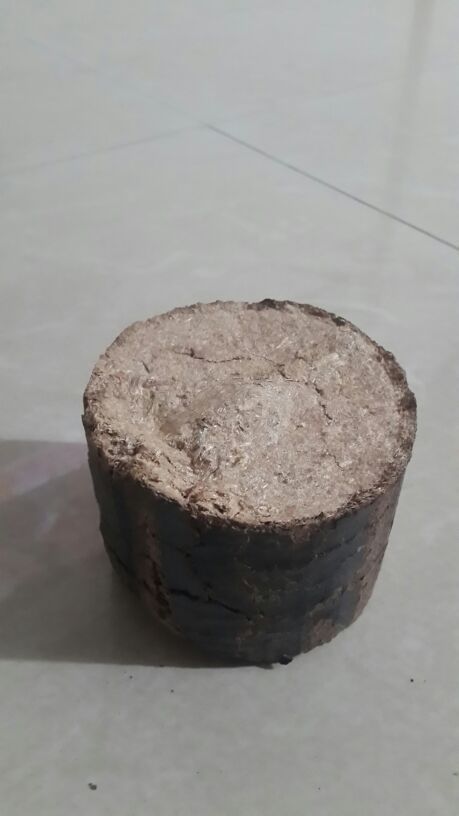 White Coal/Briquettes