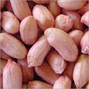 Groundnut Kernels