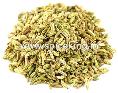 Fennel