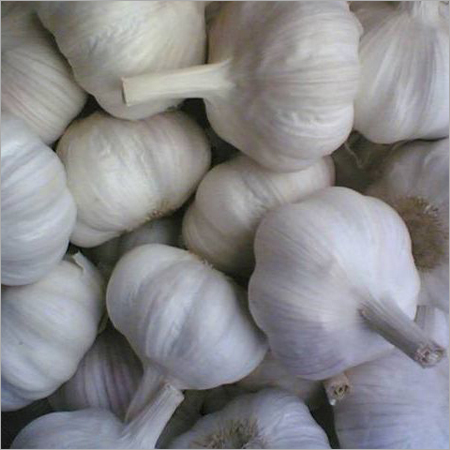 White Garlic