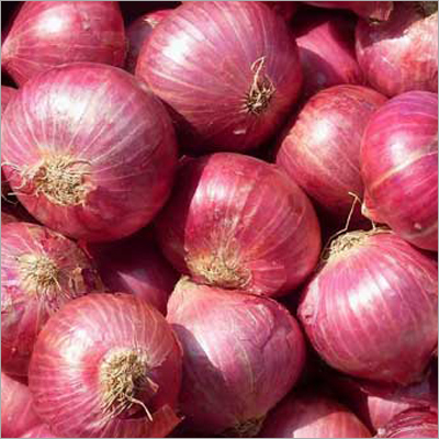 Fresh Onion
