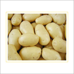 Fresh Potato