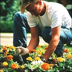 Gardening Services